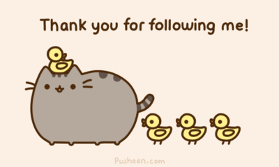 thank you for following me gif.