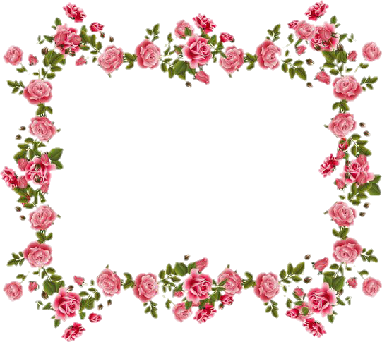 frame rose roses pink red sticker by @charleesmbear13